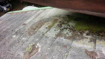 吾妻郡長野原町屋根コケと色あせ