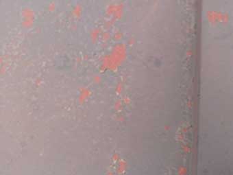 金属屋根無料点検