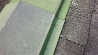 吾妻郡長野原町屋根棟板金クギ浮き