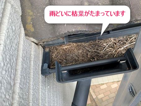 前橋市青柳町雨どいに枯葉