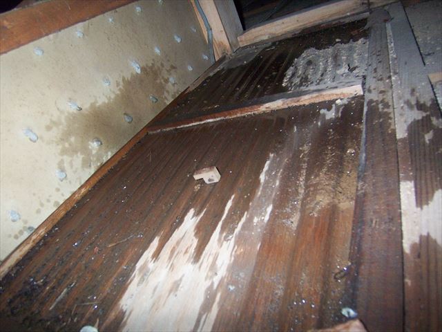 裾野市平屋玄関天井裏
