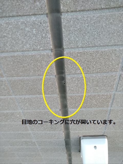散水試験
