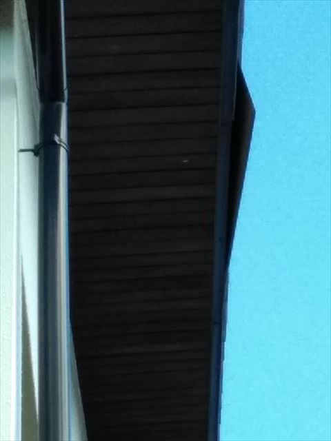 軒被害で屋根雨漏り