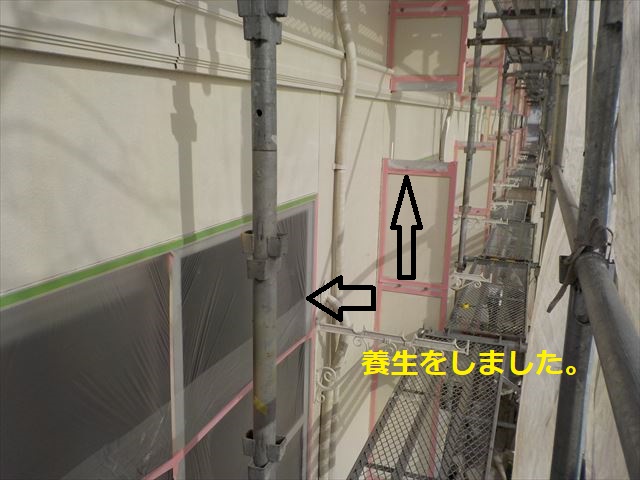 養生