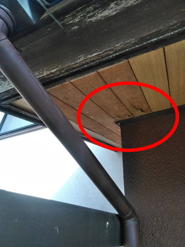 裾野軒天剥がれ