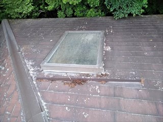 裾野市十里木雨漏り天窓現調