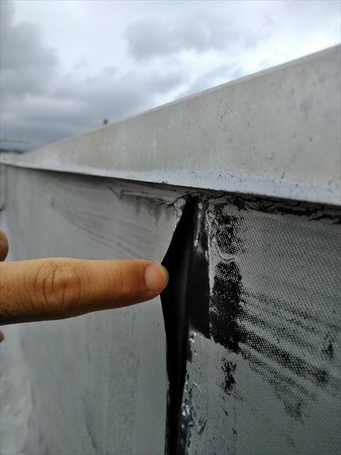 函南町　防水シート剥がれの状況