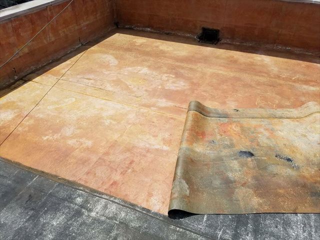 函南町屋上防水既存シート