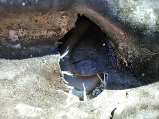 三島市安久　屋上排水口