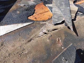 雨漏り原因ヵ所特定