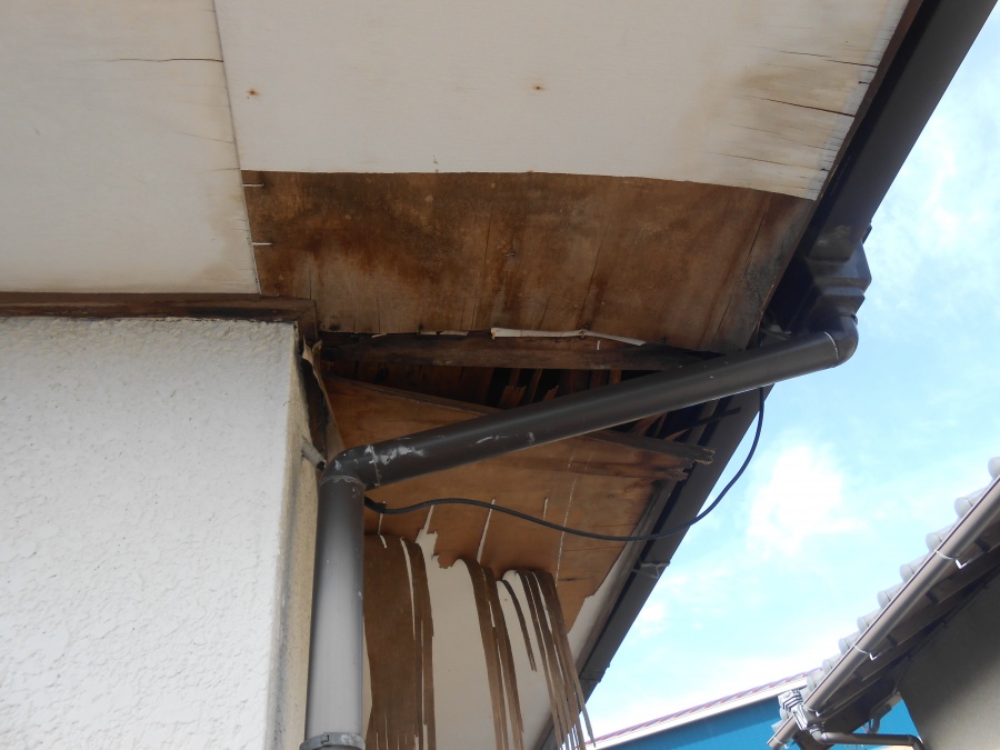 軒裏ベニア剥がれ