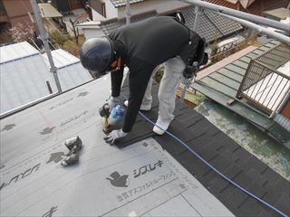 セネター重ね葺き