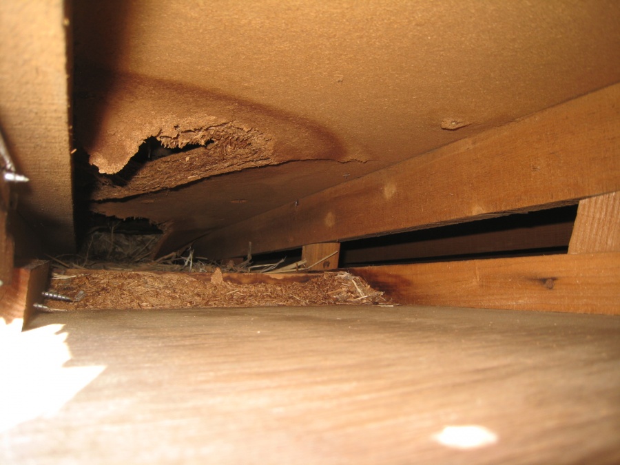 屋根裏が雨水で腐食