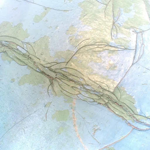 沼津市ベランダ塗膜亀甲状態