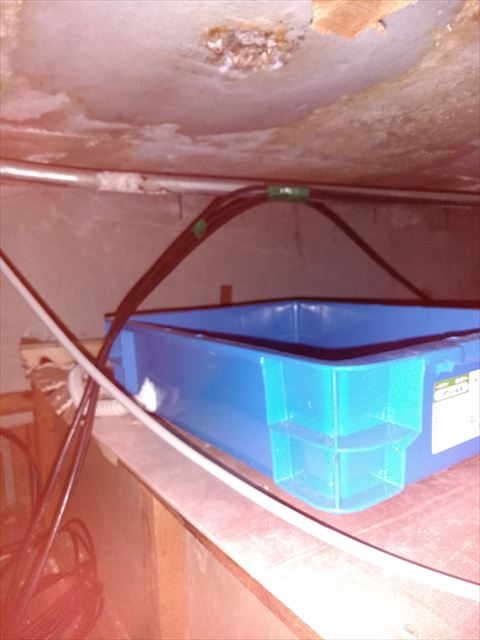 沼津市屋根裏から雨漏れ