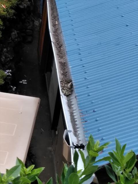 函南町　樋から水漏れ