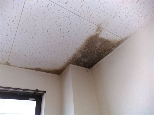 裾野市マンション雨漏れ