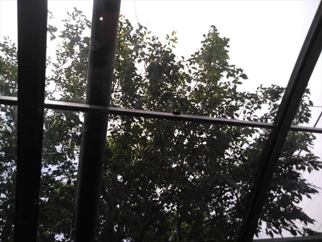 沼津市カーポート　ポリカ