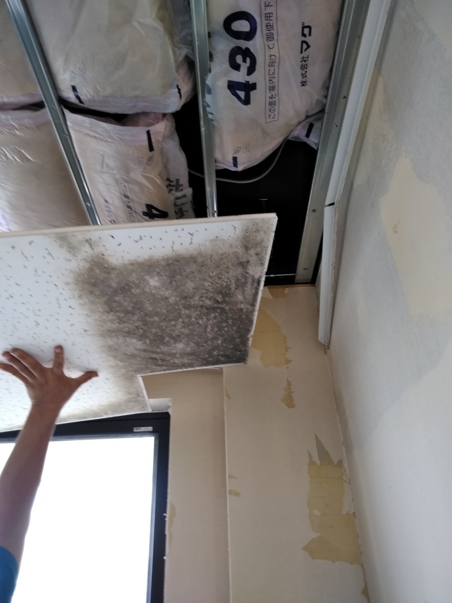 裾野市アパート天井材に黒カビ