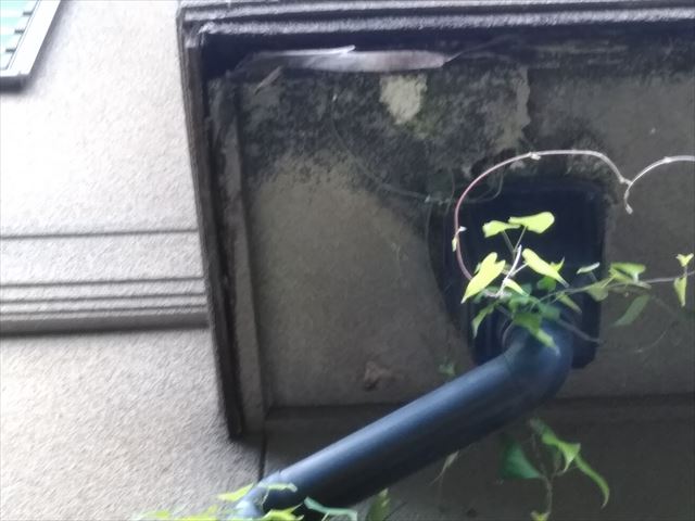 裾野市屋根塗装現地調査雨樋