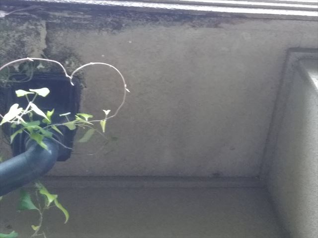 裾野市屋根塗装現地調査雨樋