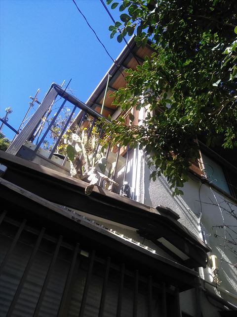 雨樋損傷