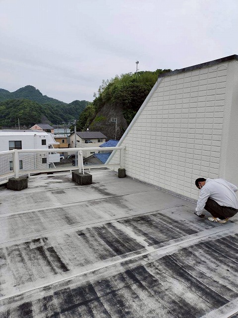 屋上調査の様子