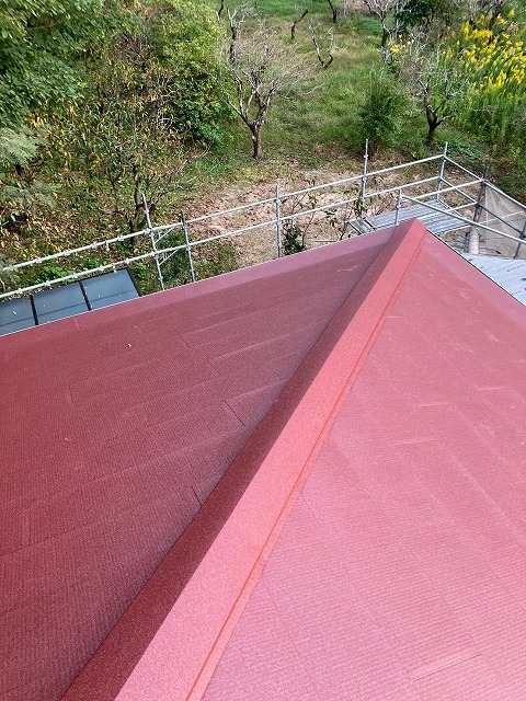 レッド　シルキーG２