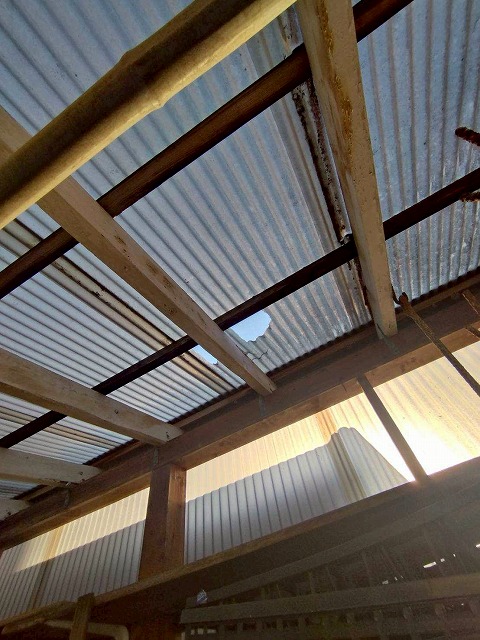 穴の空いた波板屋根
