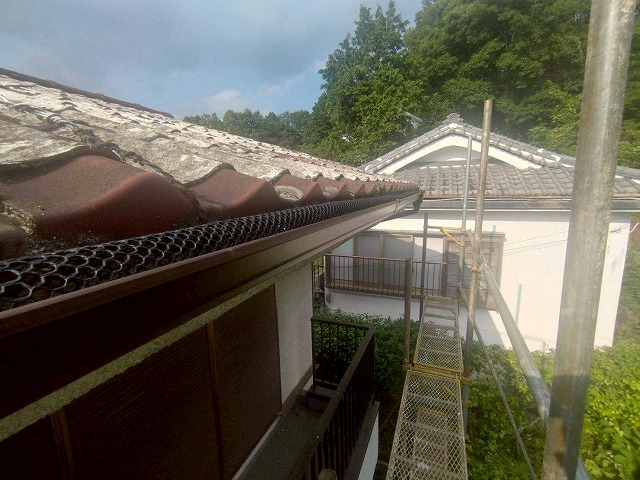 ネット付き雨樋