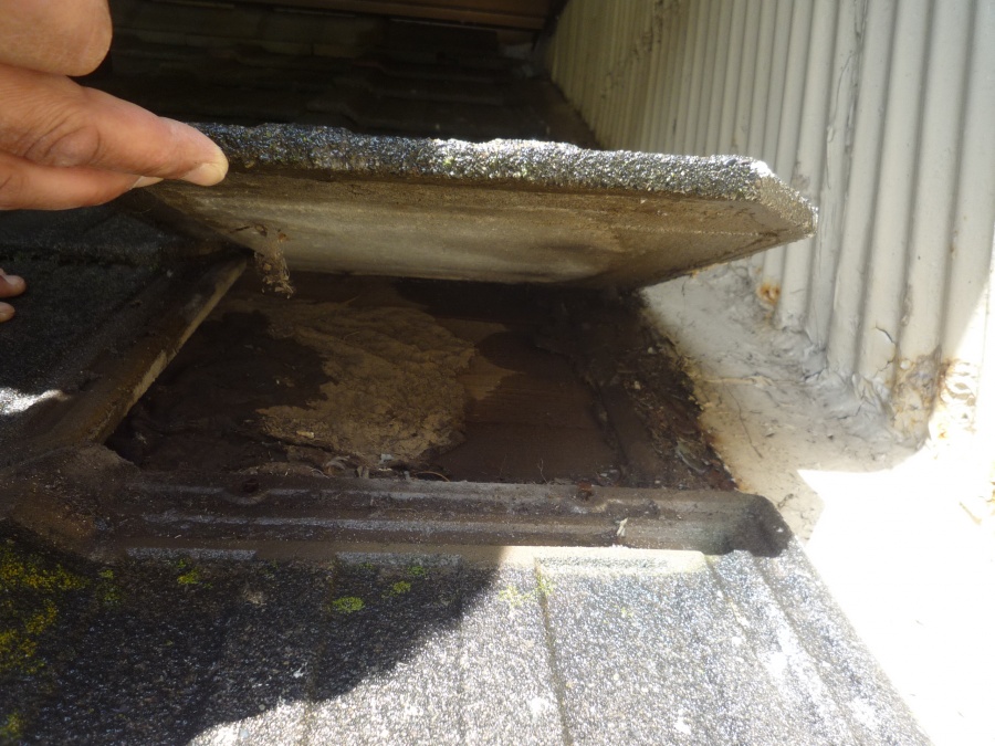 沼津市現場調査玄関上雨漏り発見