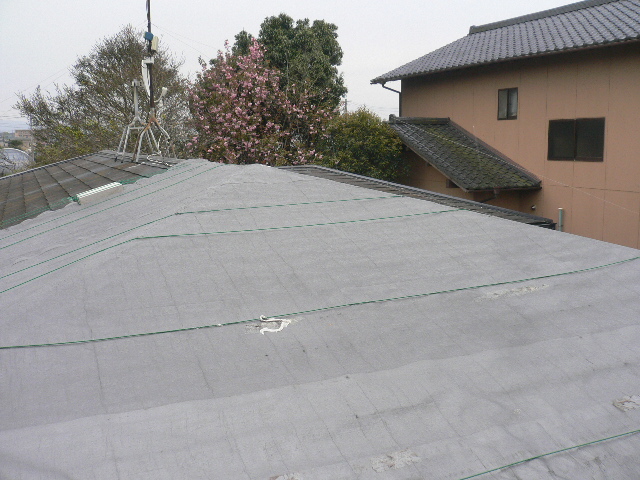 ビニールシート張込