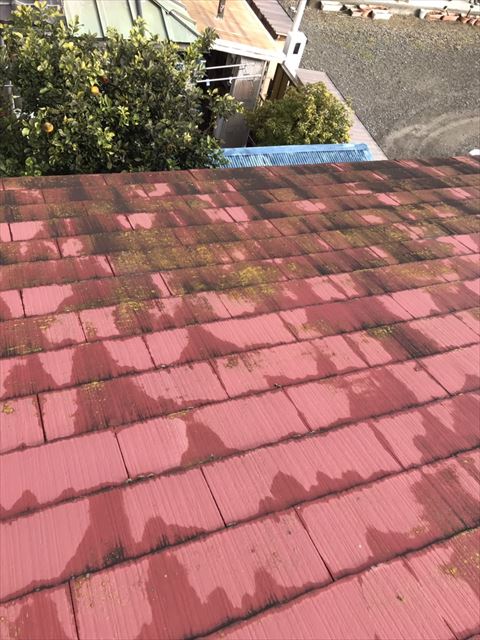 屋根コケ発生