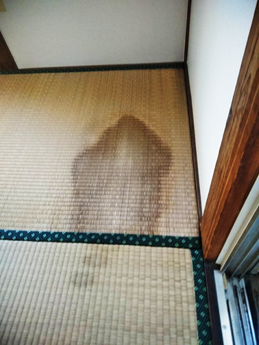 沼津雨漏りシミ