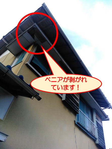 伊豆の国市軒裏ベニヤ