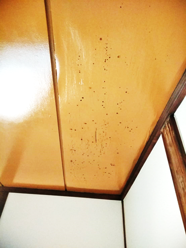 沼津雨漏り天井シミ