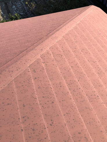 富士カラーベスト台風