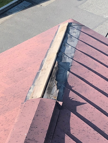 富士台風棟貫板劣化