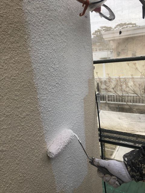 沼津市下処理