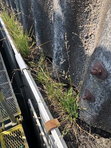 沼津雨樋汚れ工場