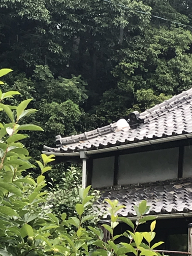 沼津市台風瓦屋根施工後