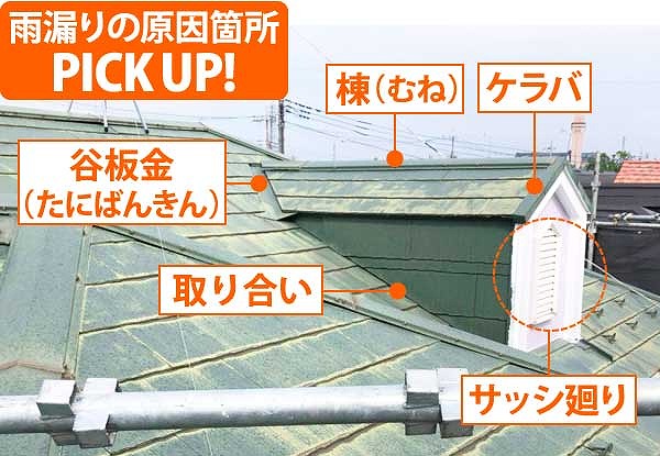 ドーマー　劣化チェック