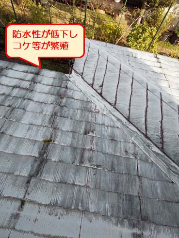 伊豆市雨漏り点検色褪せ