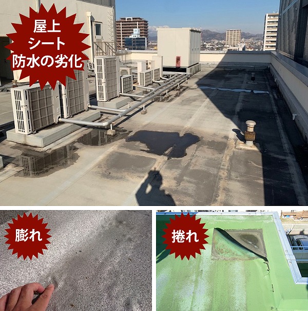 シート防水劣化症状