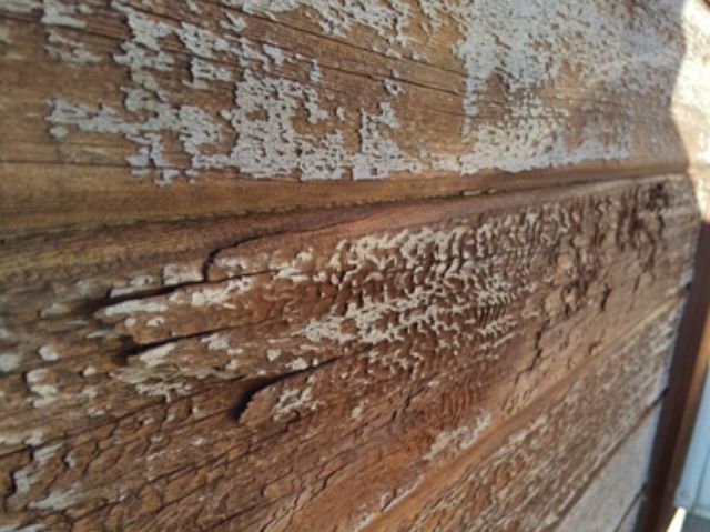 木部劣化