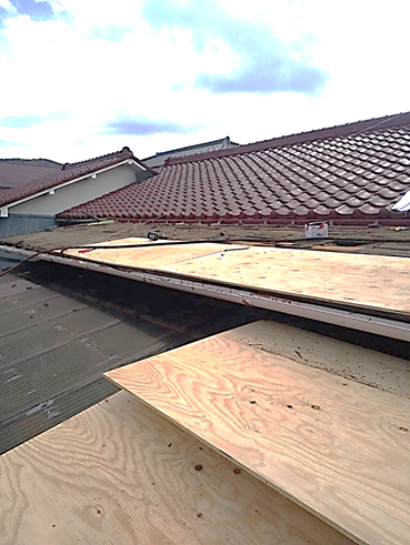 新しい野地板の設置