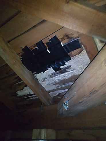 沼津市瓦屋根室内雨漏り