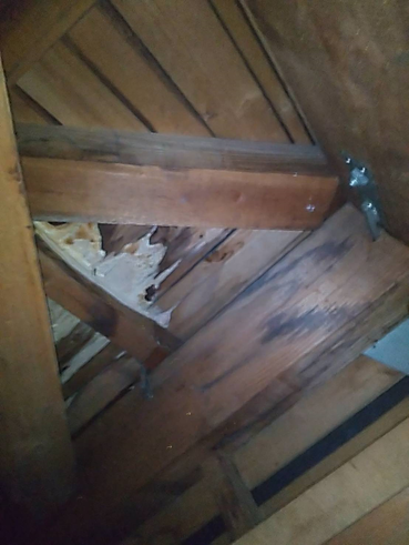 沼津市瓦屋根室内雨漏り跡