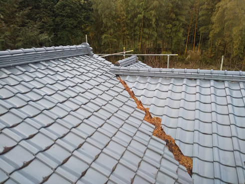 沼津市瓦屋根落葉