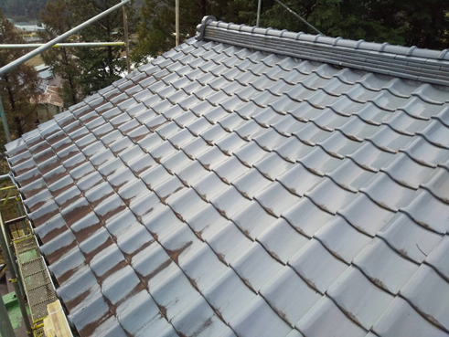 沼津市瓦屋根枯葉